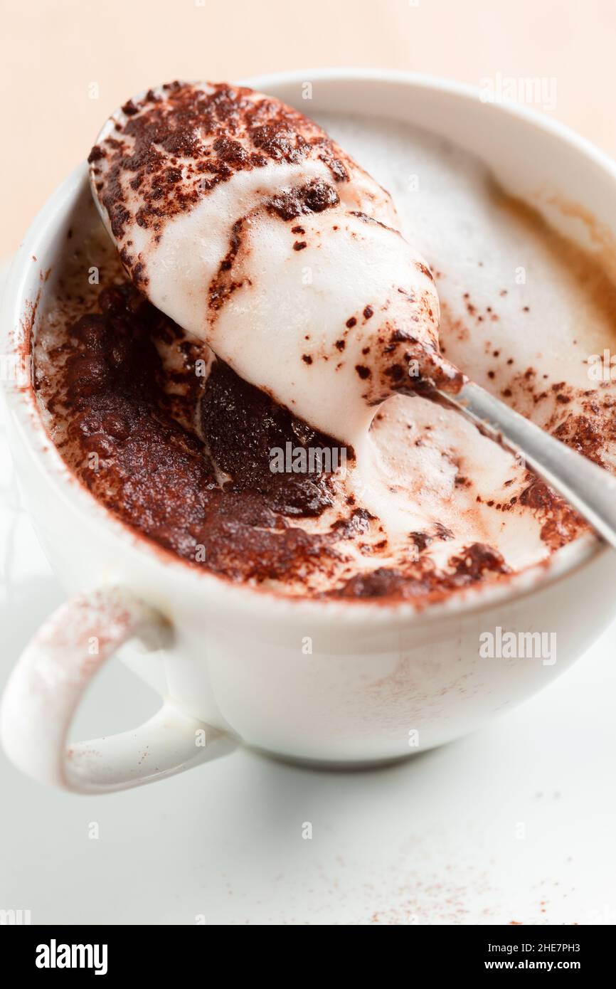 Tazza di Cappuccino Foto Stock