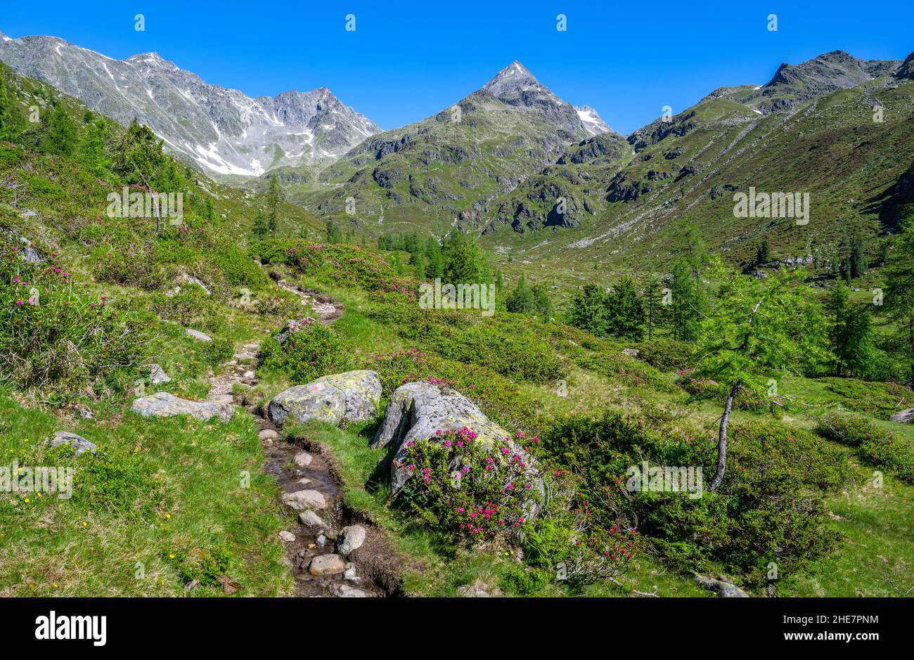 Sentiero escursionistico in un paesaggio montano idilliaco nel Tirolo Orientale, Tirolo, Austria, Europa Foto Stock