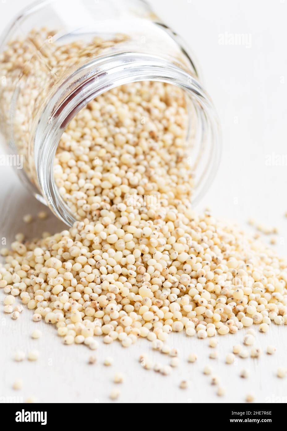 Sorgo bianco, un cereale senza glutine, versato Foto stock - Alamy