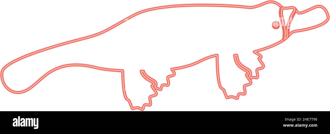 Neon platypus o duckbill rosso vettore immagine immagine immagine luce stile piatto Illustrazione Vettoriale