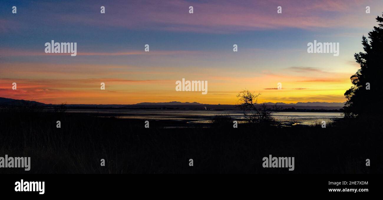 Vista panoramica attraverso gli alberi fino al mare al tramonto sotto il cielo nuvoloso Foto Stock
