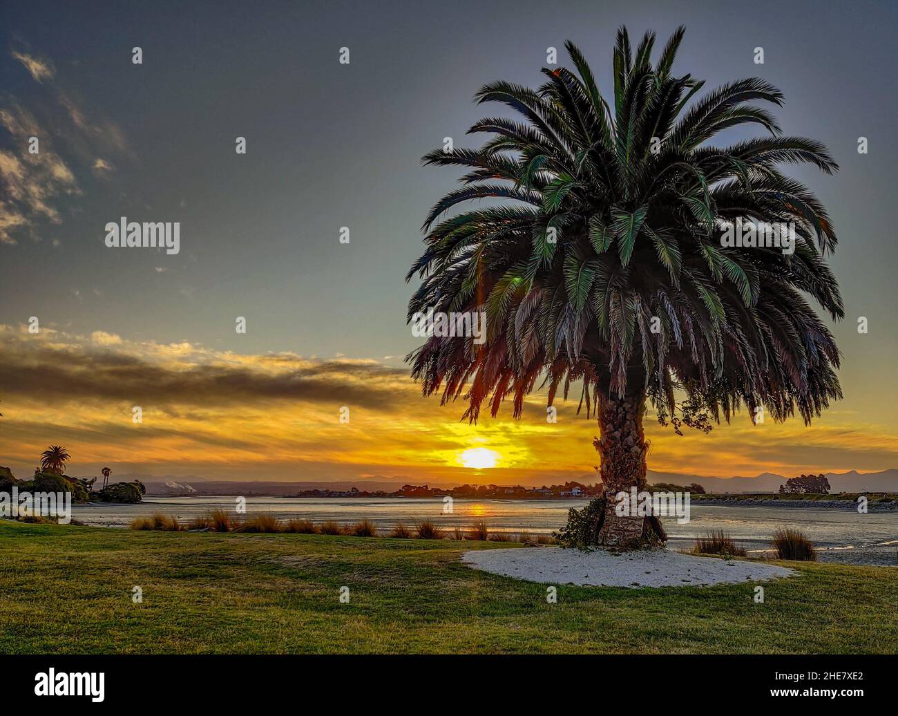 Vista panoramica della palma sul prato con lo sfondo del mare al tramonto sotto il cielo nuvoloso Foto Stock