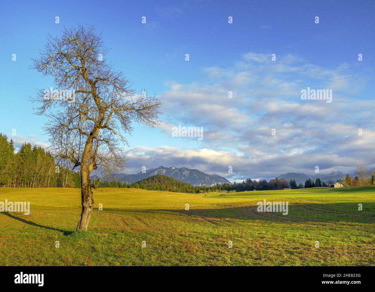 Paesaggio autunnale nei pressi di Krün, Baviera, Germania Foto Stock