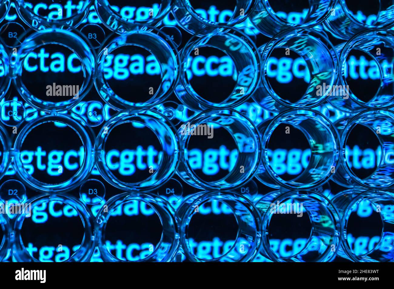 Background astratto - ricerca sul genoma. Uno sguardo attraverso una piastra a 24 pozzetti. Foto Stock