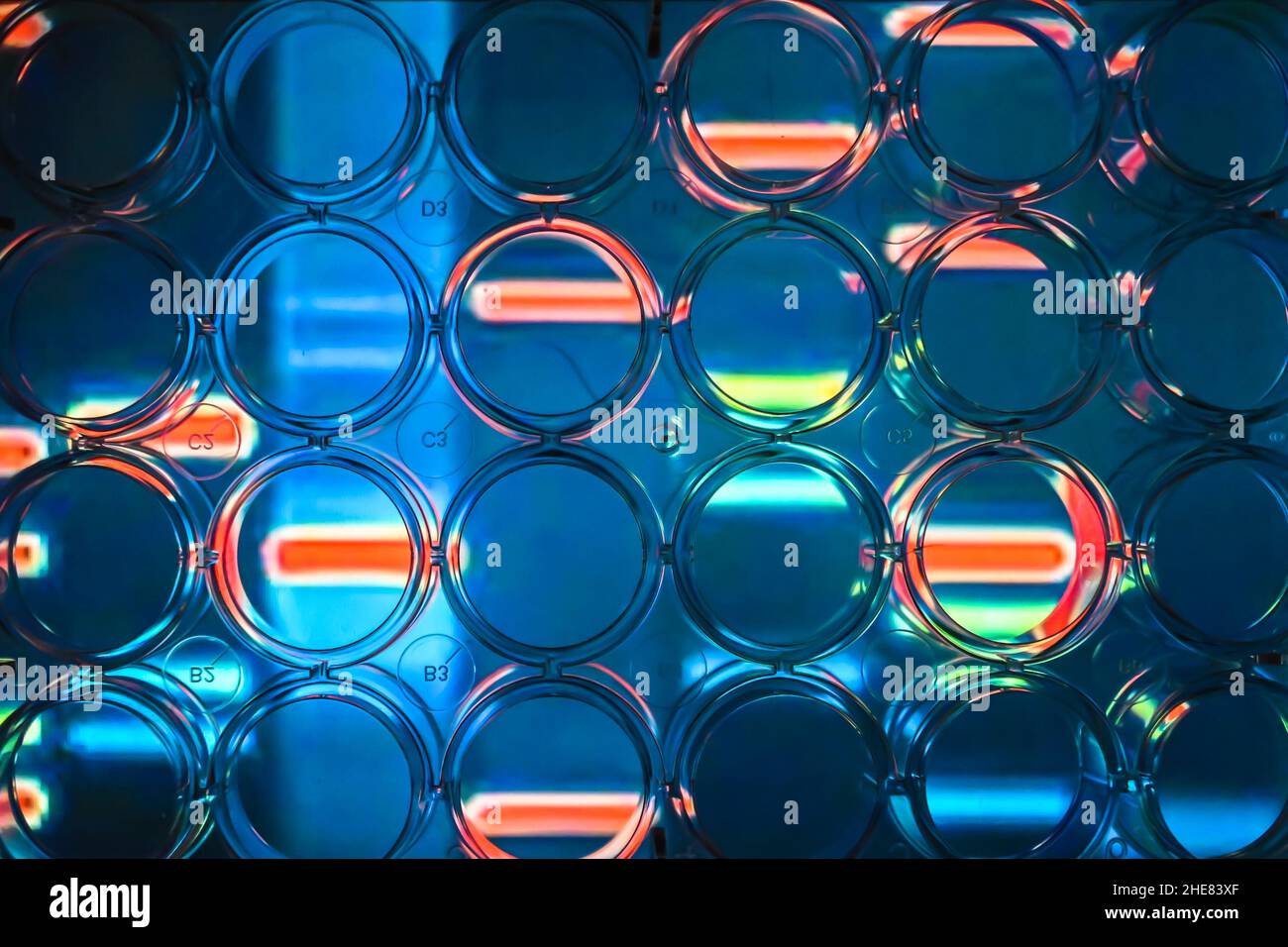 Background astratto - ricerca sul genoma. Uno sguardo attraverso una piastra a 24 pozzetti. Foto Stock