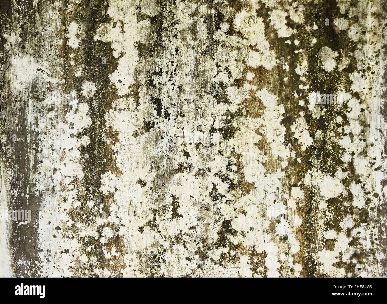 Trama astratta su vecchio muro di casa abbandonata. Eccellente sfondo astratto Foto Stock