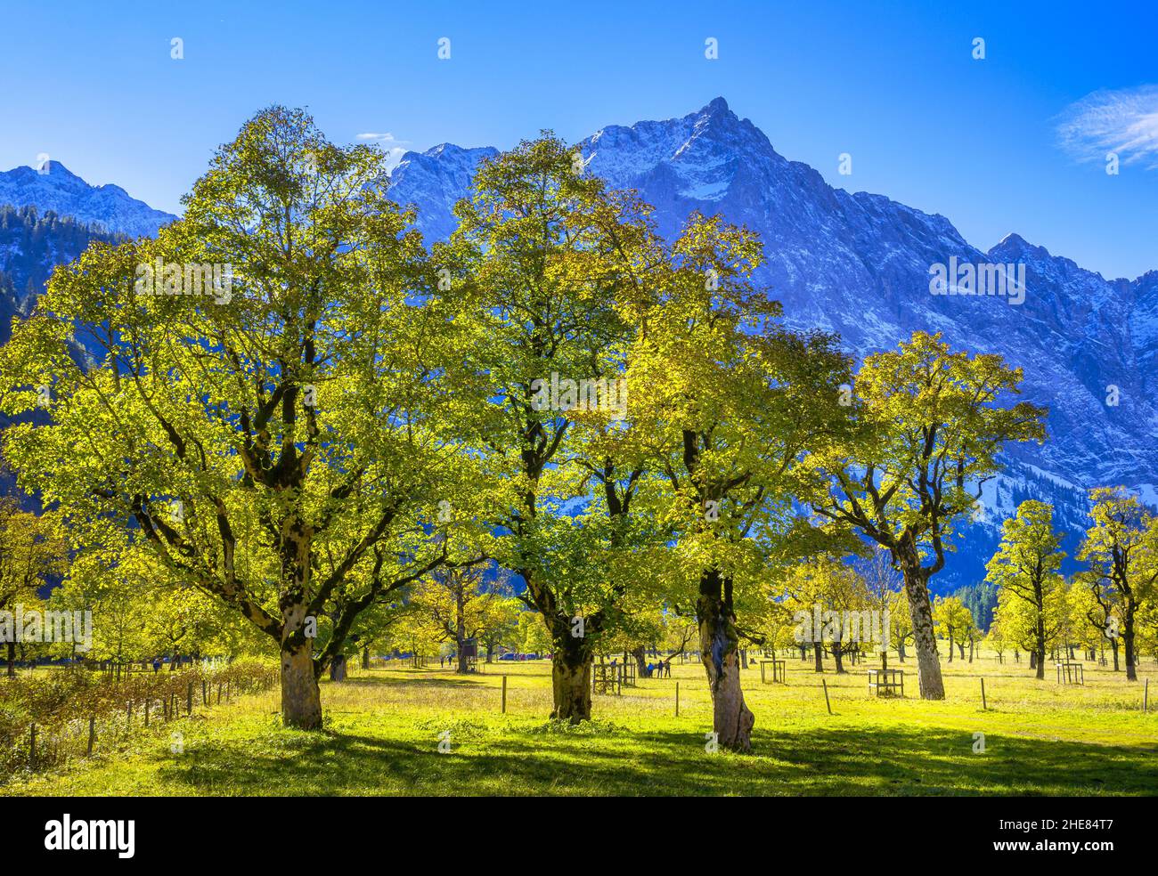 Grosser Ahornboden, Monti del Karwendel, Tirolo, Austria, Europa Foto Stock