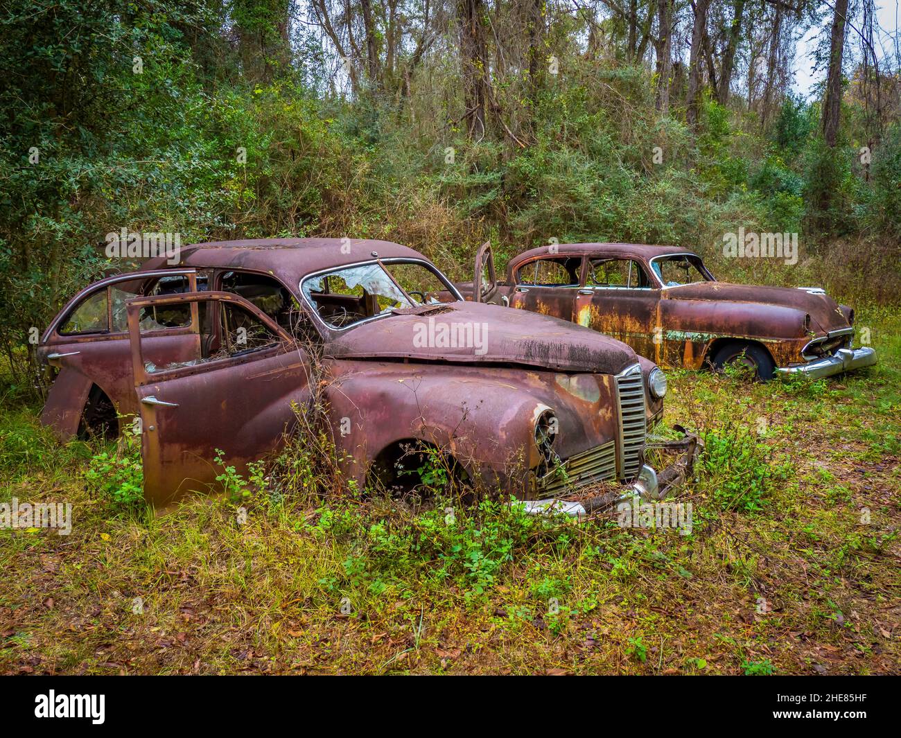 Vecchie auto abbandonate arrugginite a Crawfordville, Florida Foto Stock