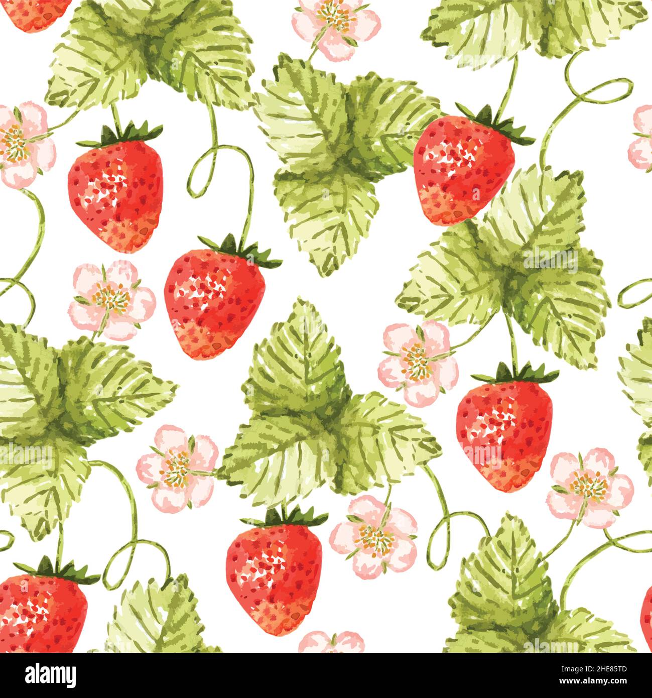 Modello senza cuciture con fiori, frutta e foglie di fragola disegnate in acquerello su sfondo trasparente. Illustrazione Vettoriale