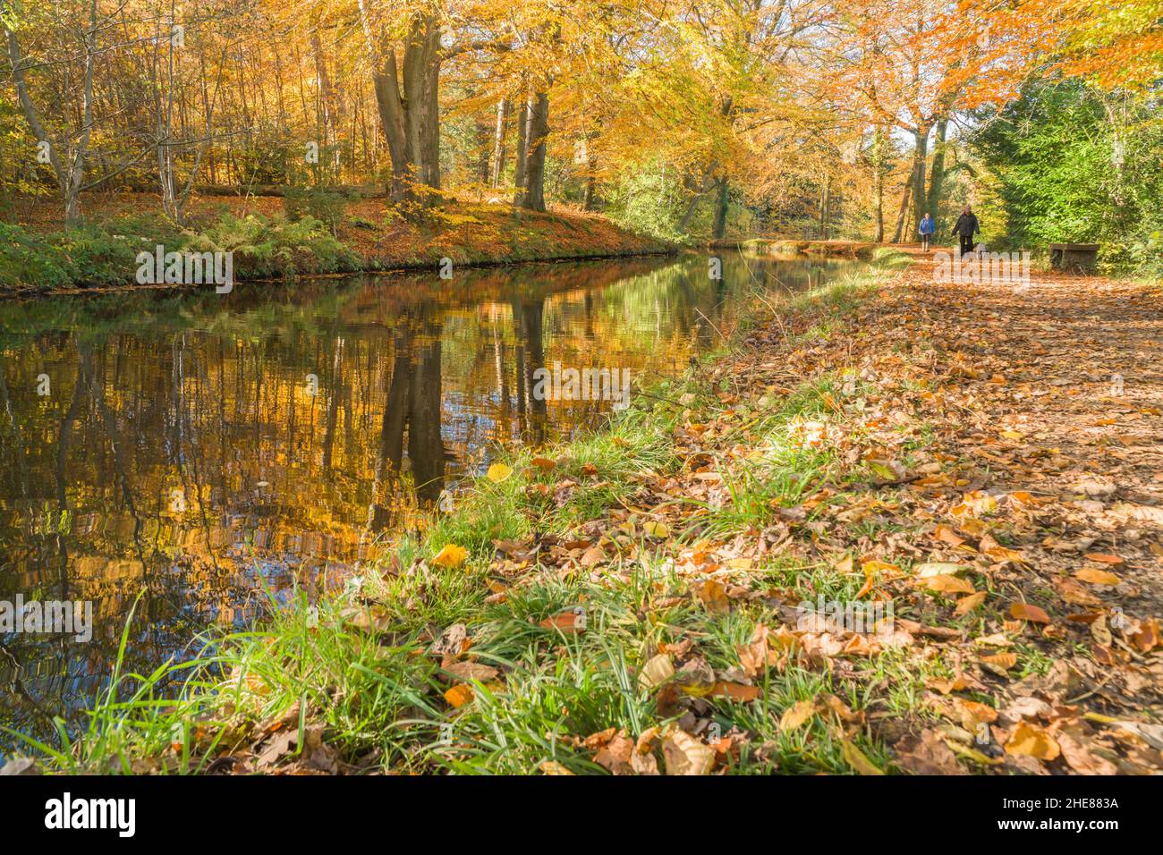 Camminatori del cane che scherzano i colori di autunno lungo il Monmouthshire e il canale di Brecon, Abergavenny Gwent Regno Unito. Novembre 2021. Foto Stock