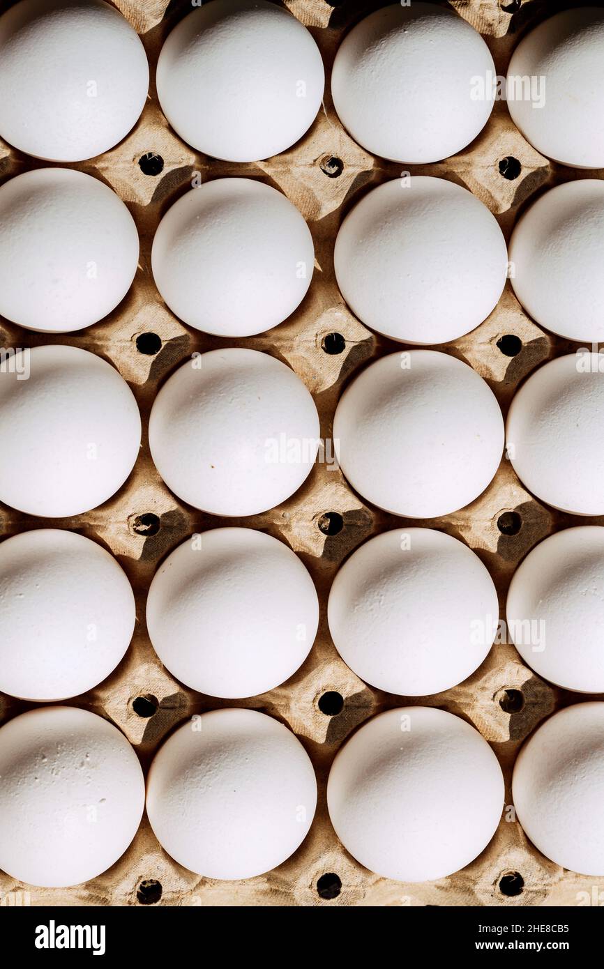 Uova righe casella Schema sfondo alimentare Foto Stock