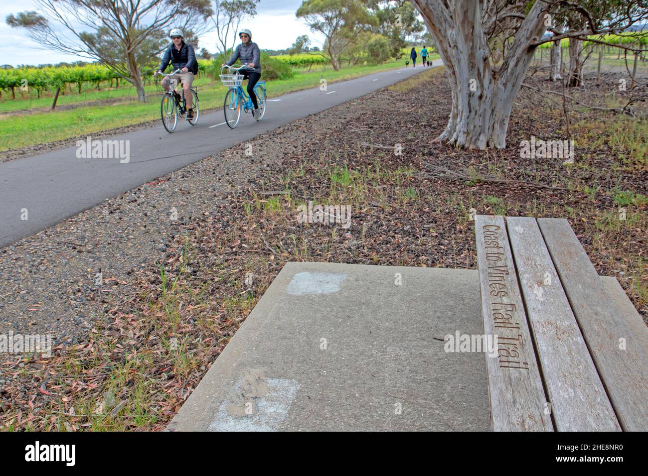 In bicicletta sulla costa fino al sentiero ferroviario Vines vicino a Willunga Foto Stock