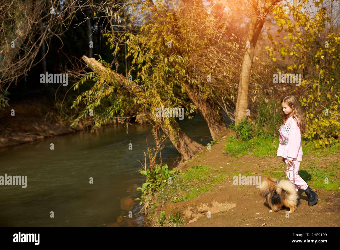 bambina che cammina il cane della pomerania vicino al fiume Foto Stock