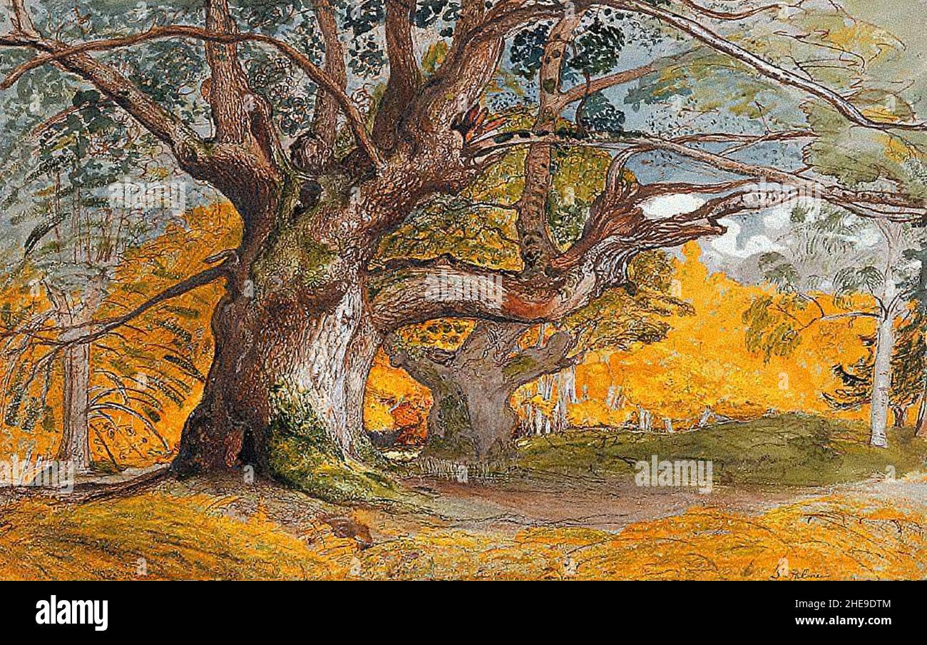 Samuel Palmer - alberi di quercia, Lullingstone Park. Foto Stock