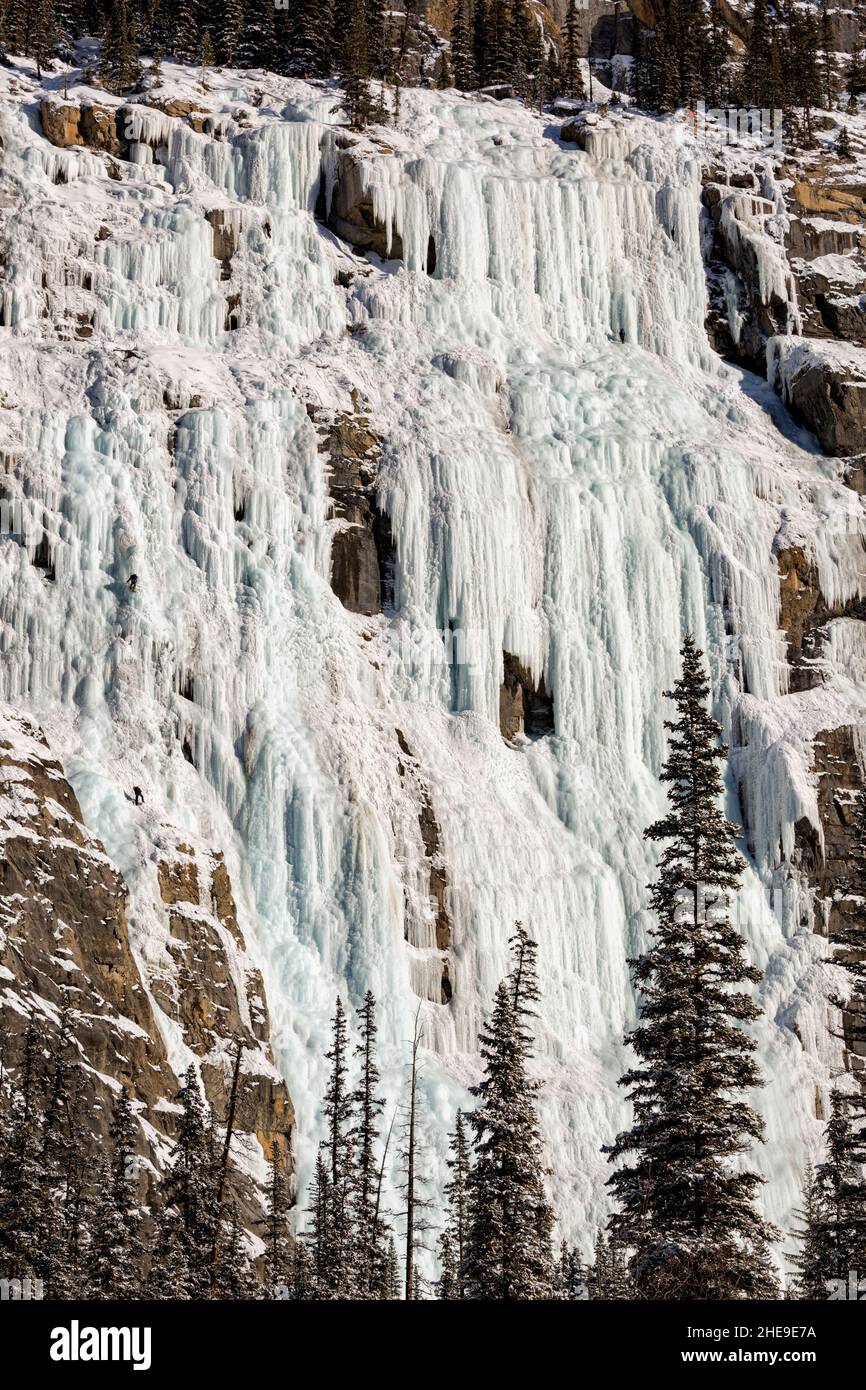 Canada, Alberta, Banff National Park, arrampicatori di ghiaccio su Frozen Lower Weeping Wall Foto Stock