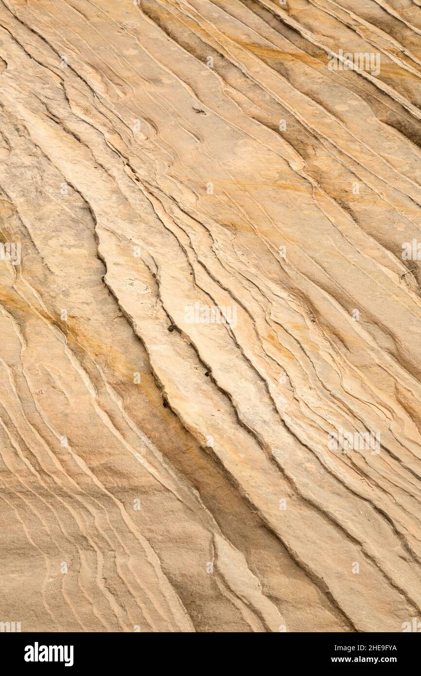 USA, Utah, Zion National Park, Abstract Detail of Zion Geology, #1 Foto Stock