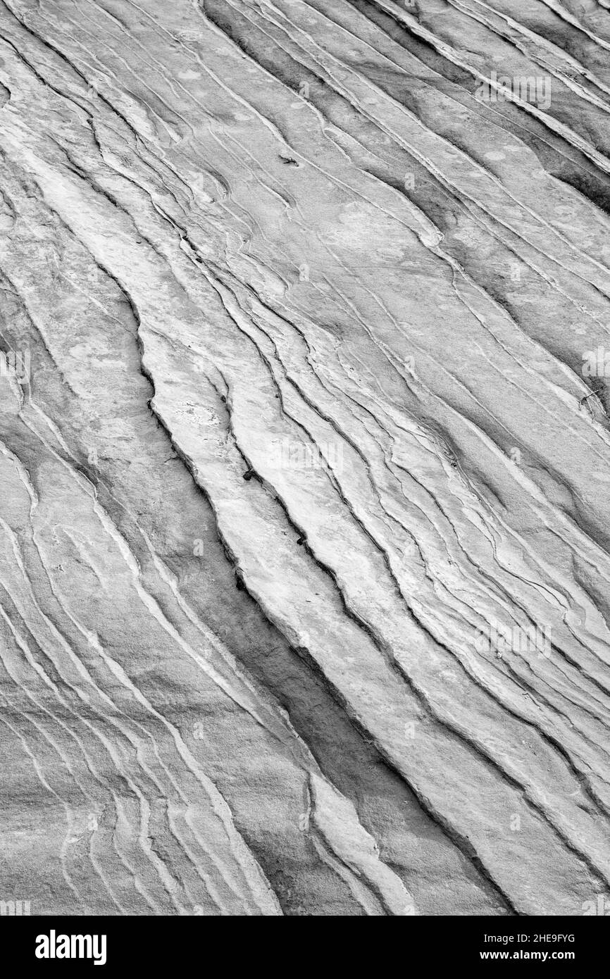 USA, Utah, Parco Nazionale di Zion, dettaglio astratto della geologia di Zion, #1 (bw) Foto Stock