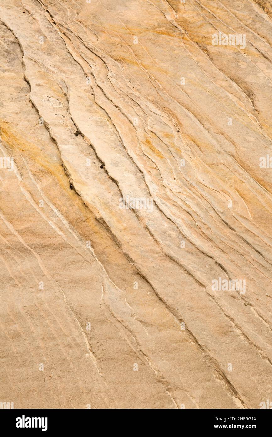 USA, Utah, Zion National Park, Abstract Detail of Zion Geology, #2 Foto Stock