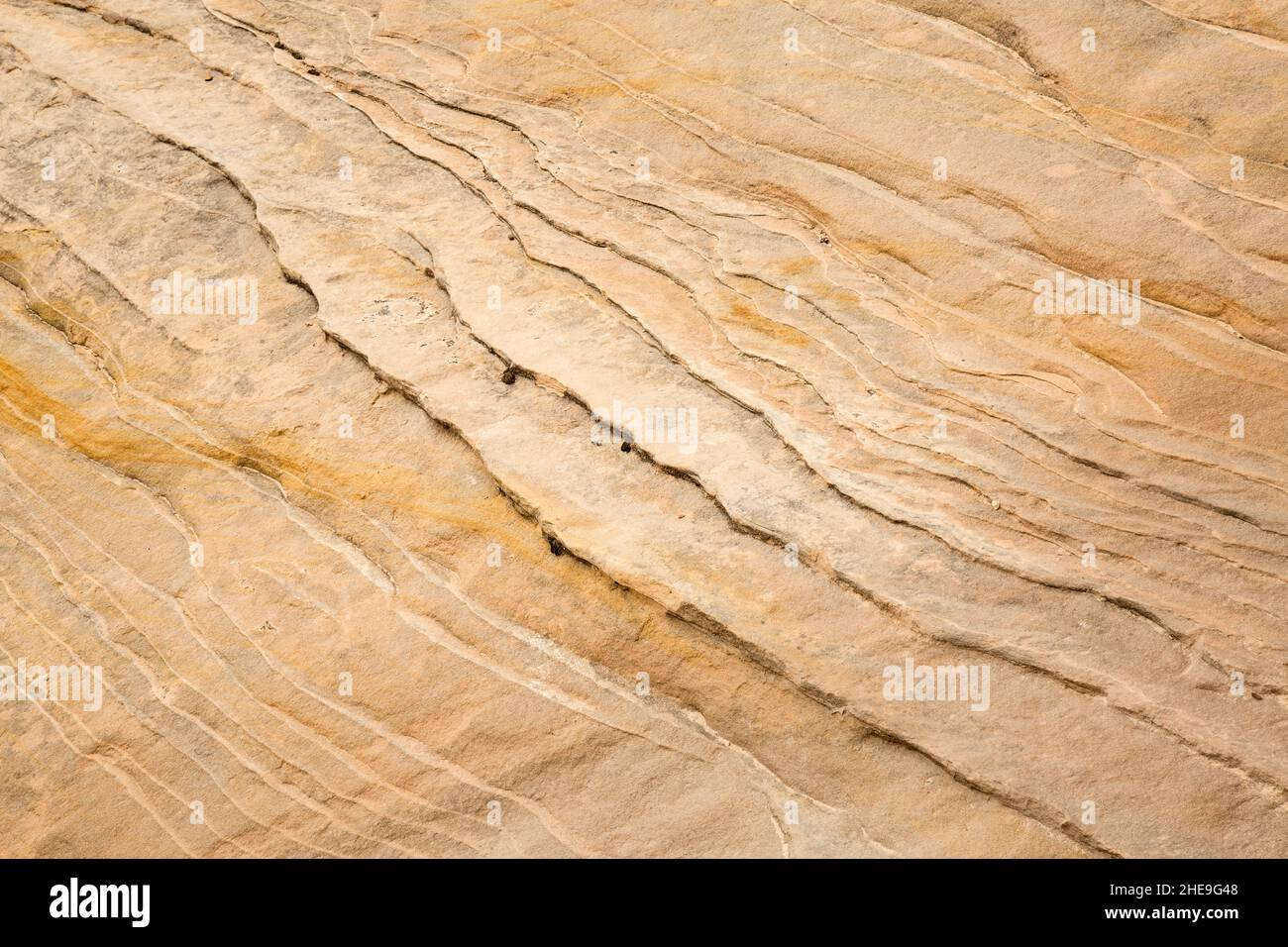 USA, Utah, Zion National Park, Abstract Detail of Zion Geology, #3 Foto Stock