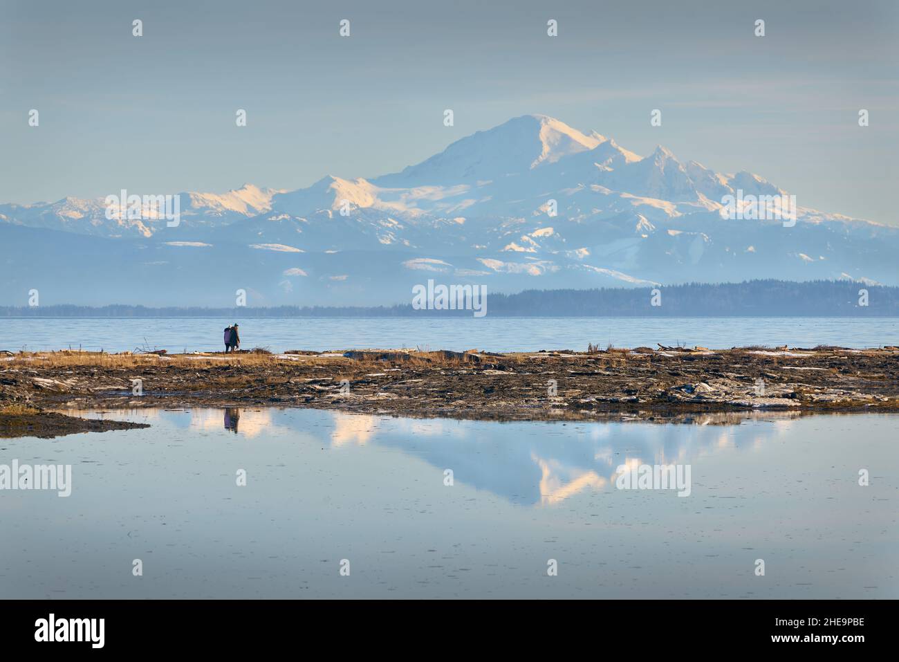 Mt Baker dietro Boundary Bay. La vista del Monte Baker da Centennial Beach a Delta, British Columbia, Canada. Foto Stock