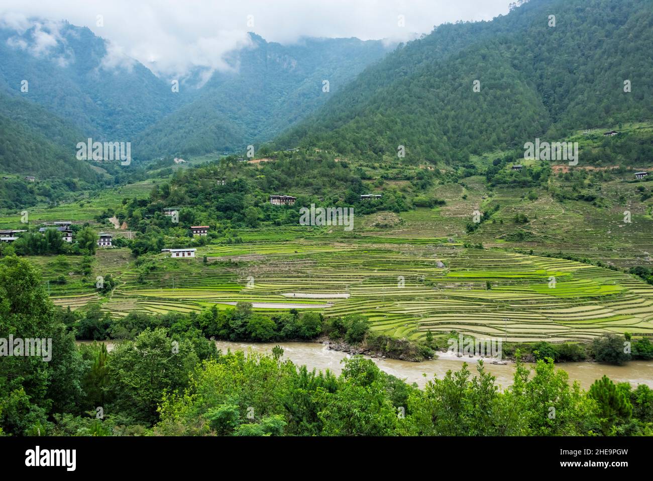 Villaggio e risaie nel Himalaya, Punakha, Bhutan Foto Stock