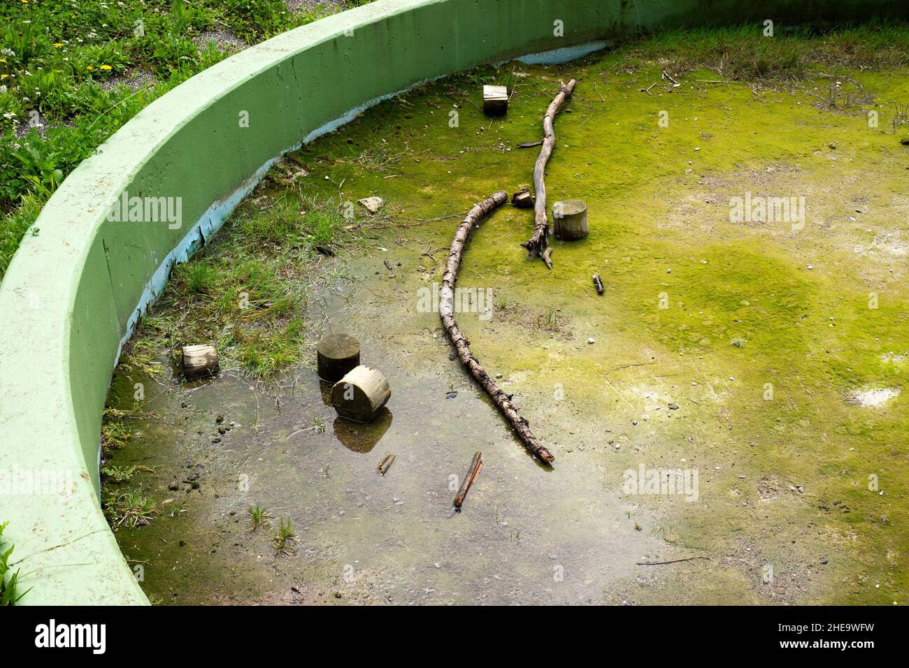 Piscina sporca abbandonata con alghe e legno. Foto Stock