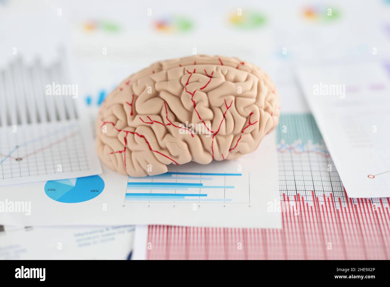 Simulazione di un cervello su un tavolo con documento aziendale Foto Stock