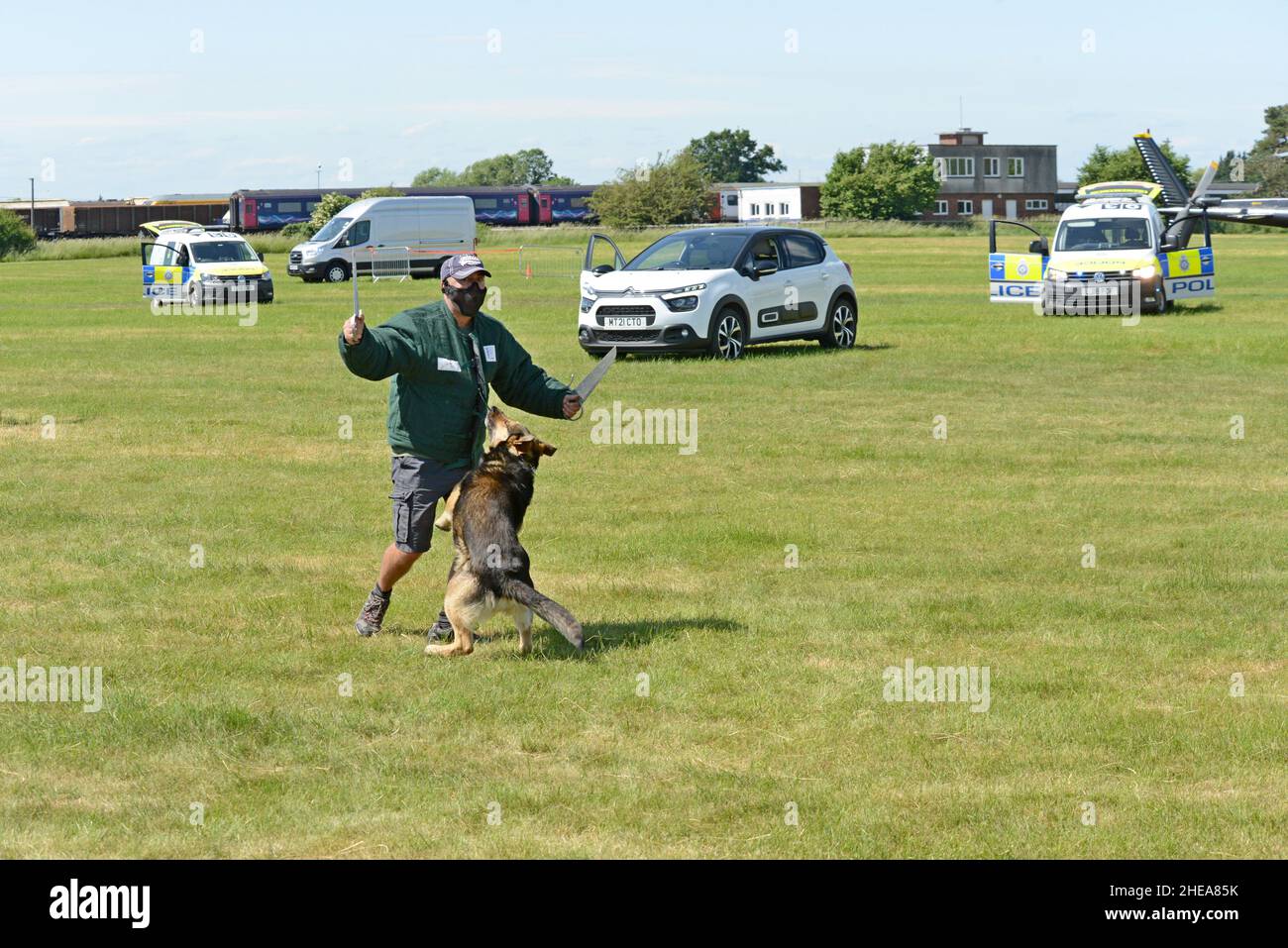 British Transport Police mostra di cani di polizia che trattenono un fornitore alla fiera ferroviaria, Rail Live, Warwickshire, giugno 2021 Foto Stock