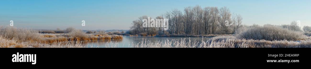 Panorama Lago, foresta invernale e erba secca nel gelo. Blu cielo sopra la foresta. Favoloso paesaggio invernale Foto Stock