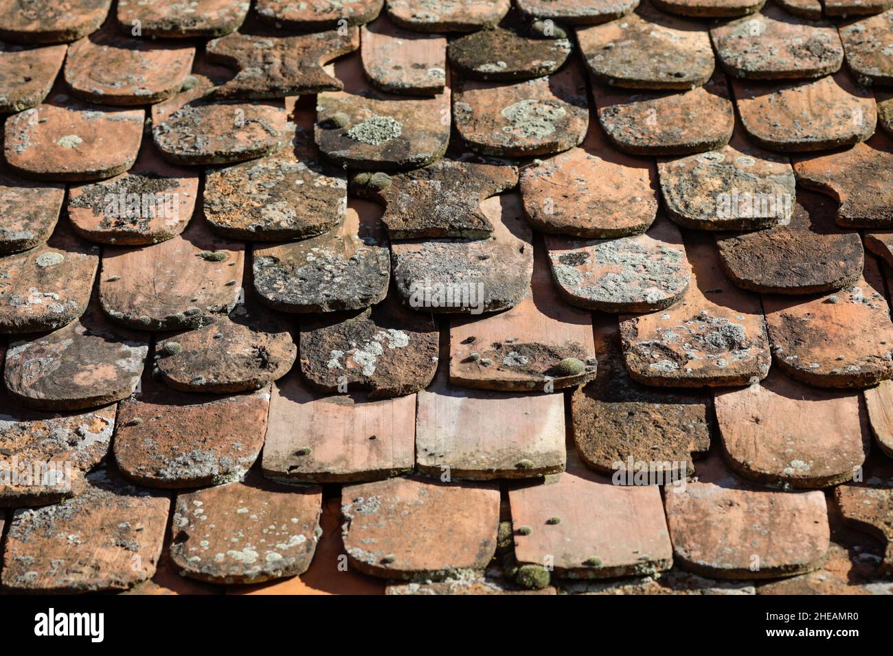 Profondità di campo poco profonda (fuoco selettivo) dettagli delle tradizionali piastrelle di argilla della sassonia della Transilvania. Foto Stock