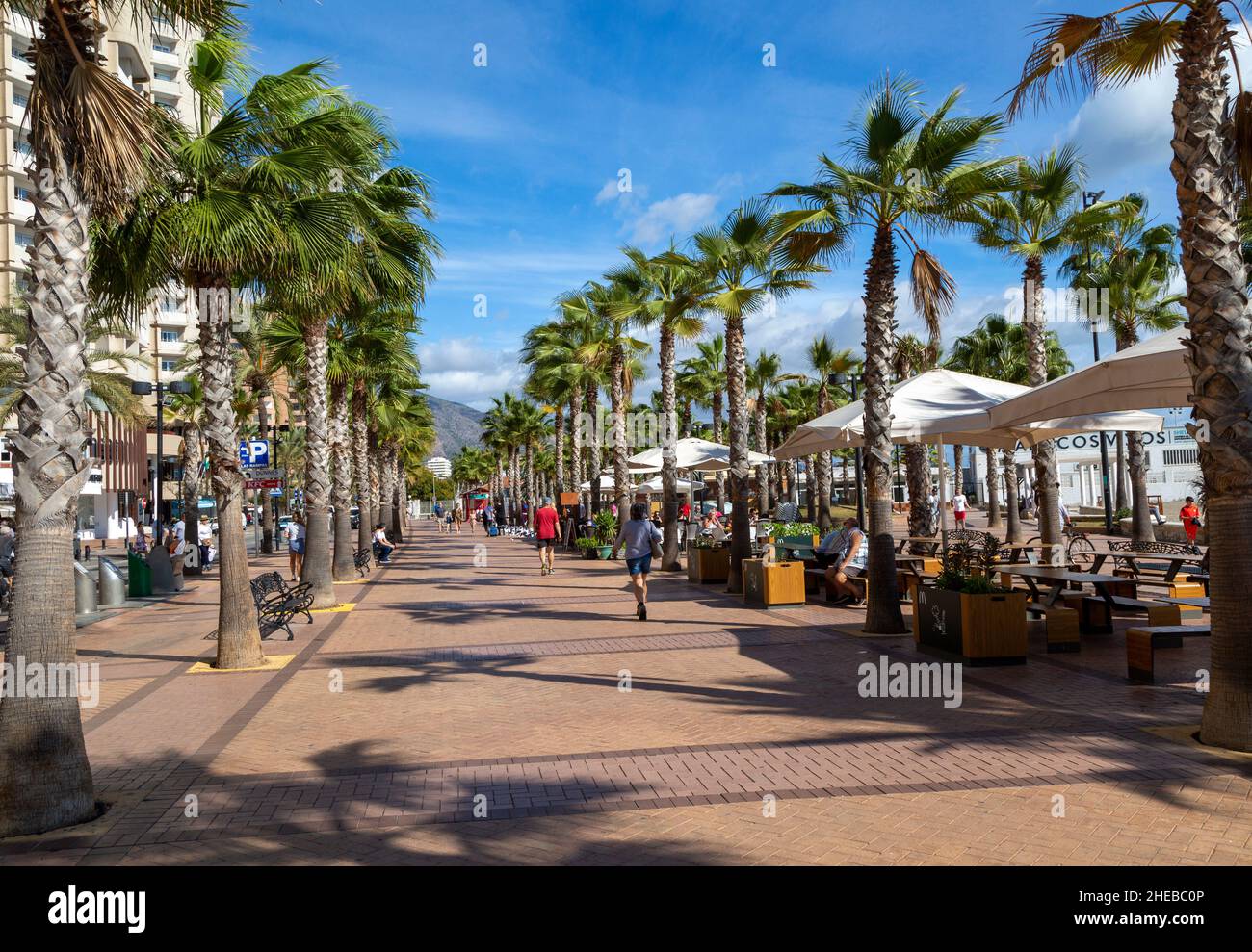 Palme e caffè sul lungomare nel centro di Fuengirola, Costa del Sol, Andalusia, Spagna Foto Stock