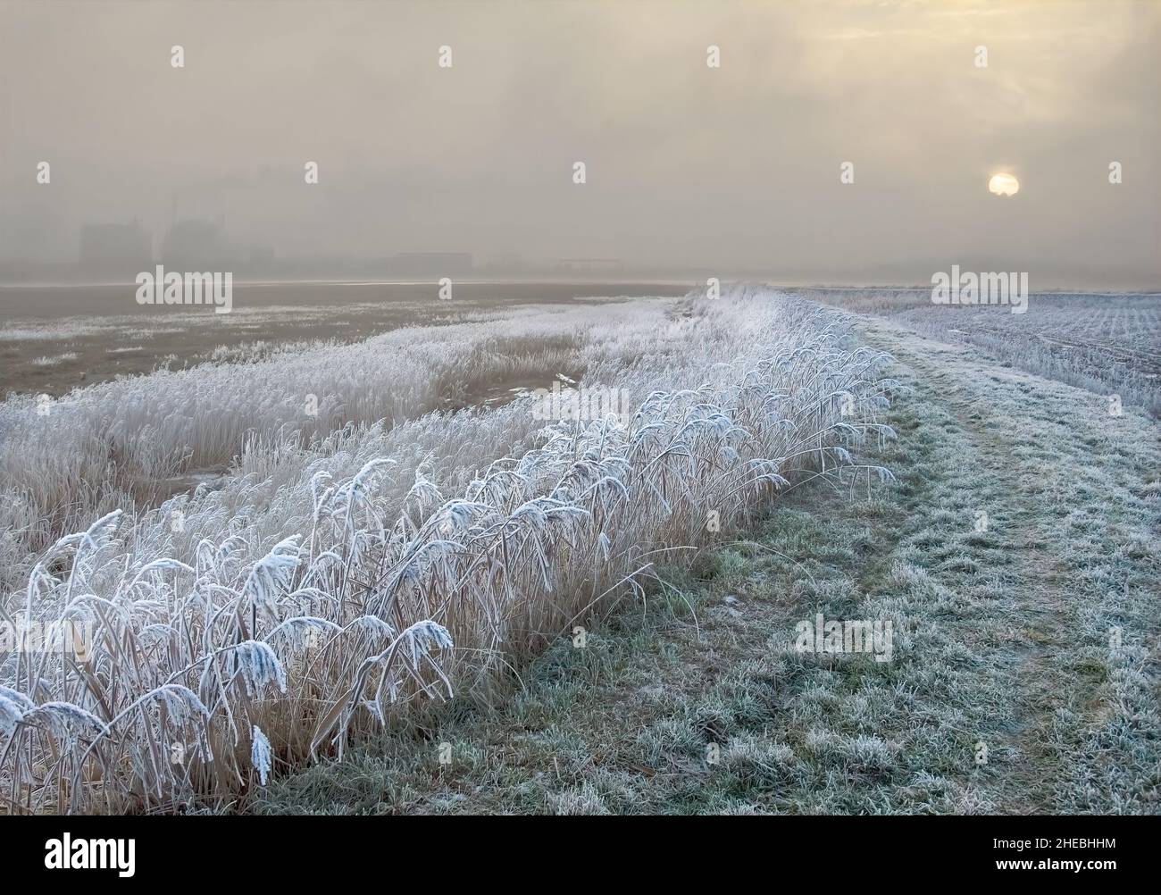 Mattina gelida al Burrows Marsh sul fiume Wyre in Lancashire Foto Stock