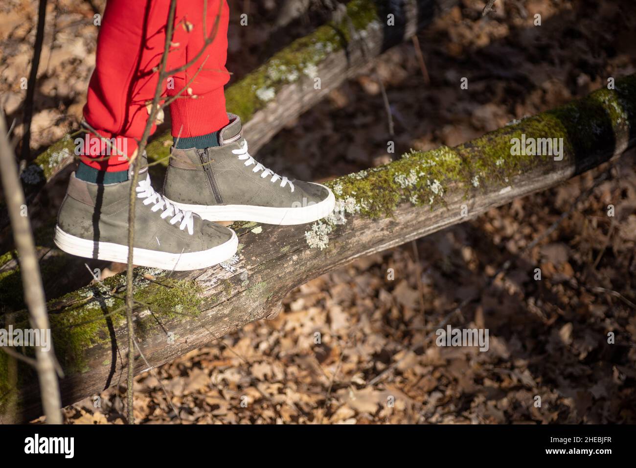 Primo piano delle gambe della donna che attraversano lentamente la fossa camminando sul ceppo da solo nella foresta lontano dalla città più vicina alla natura con foglie sullo sfondo. Escursioni Foto Stock