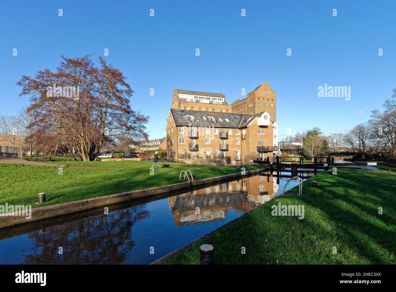 Coxes Lock Mill appartamenti sul canale di navigazione River Wey in un giorno d'inverno soleggiato Addlestone Surrey Inghilterra UK Foto Stock