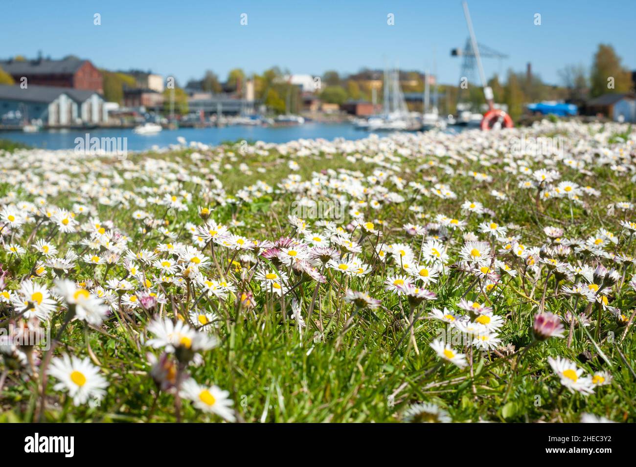 Primavera nella fortezza marina di Suomenlinna, Helsinki, Finlandia Foto Stock