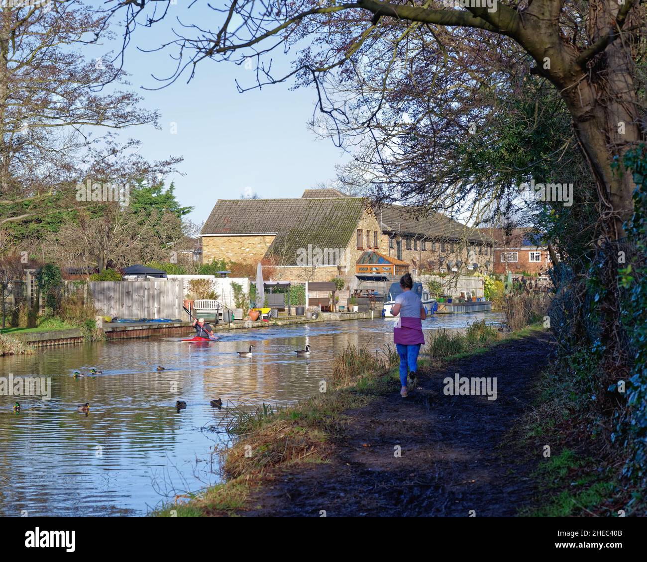 Una corridore femmina sul alzaia del canale di navigazione di River Wey con un canoista maschile che passa vicino in un giorno di inverni soleggiati New Haw Surrey Inghilterra UK Foto Stock