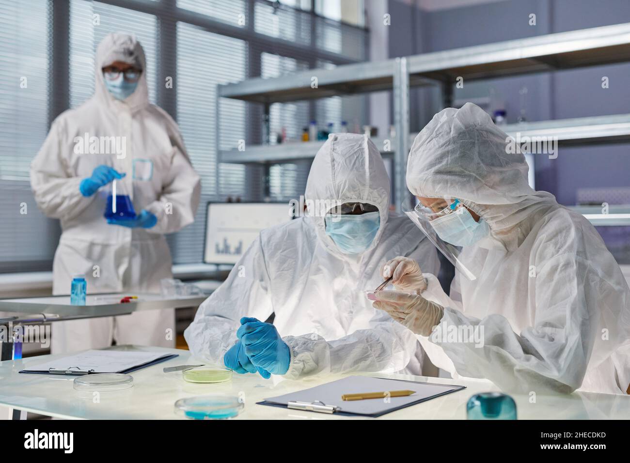 Gruppo di persone in tute protettive che lavorano con prodotti chimici in team in laboratorio Foto Stock