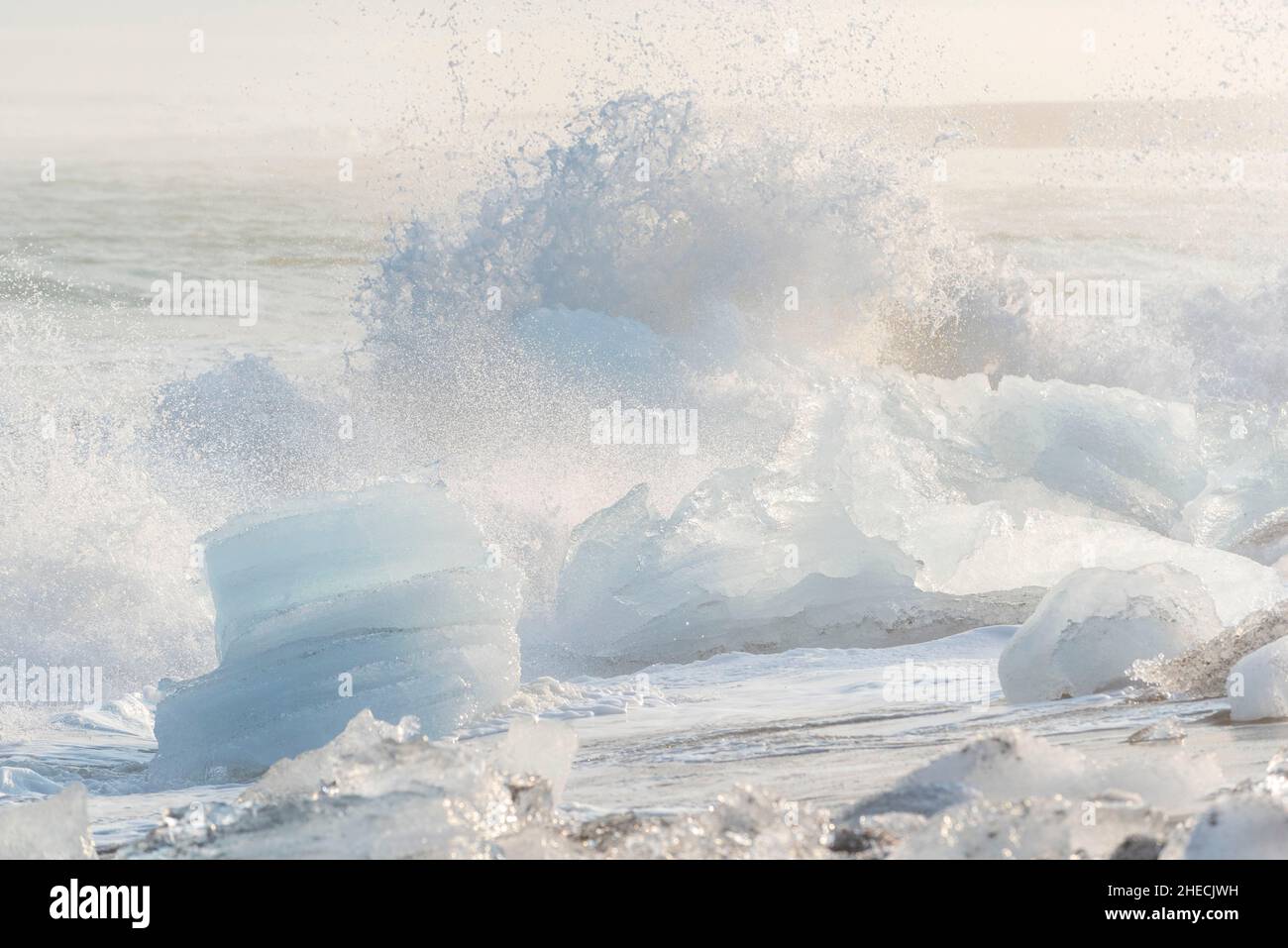Islanda, Regione Austurland, Breidamerkursandur, Spiaggia dei Diamanti vicino a Jokulsarlon, iceberg sulla sabbia Foto Stock