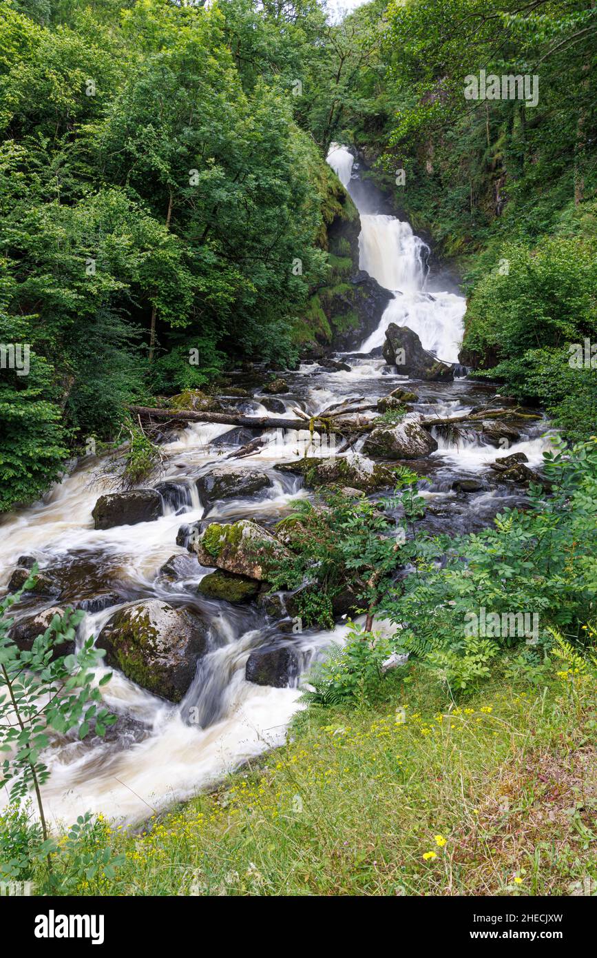 Francia, Correze, Gimel les Cascades, cascata le Grand Saut Foto Stock