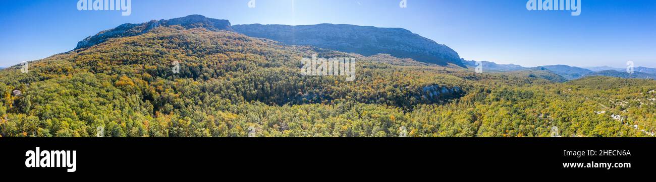 Francia, Var, Parco Naturale Regionale di Sainte Baume, Massif de la Sainte Baume, legno di faggio relico sullo scivolo nord del massiccio (vista aerea) // Francia, Foto Stock