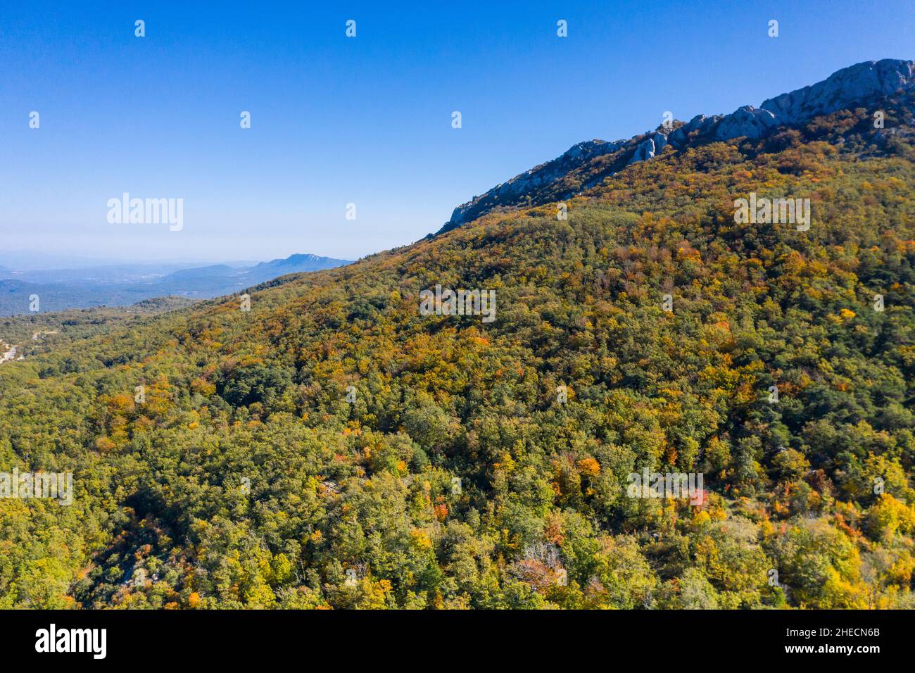 Francia, Var, Parco Naturale Regionale di Sainte Baume, Massif de la Sainte Baume, legno di faggio relico sullo scivolo nord del massiccio (vista aerea) // Francia, Foto Stock