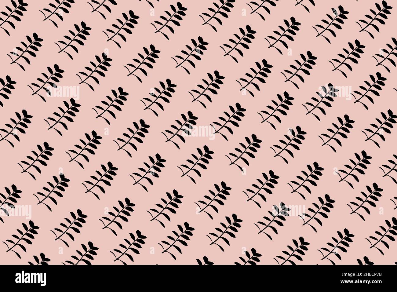 Modello realizzato con silhouette nera di Zamioculcas pianta su rosa sfondo Foto Stock