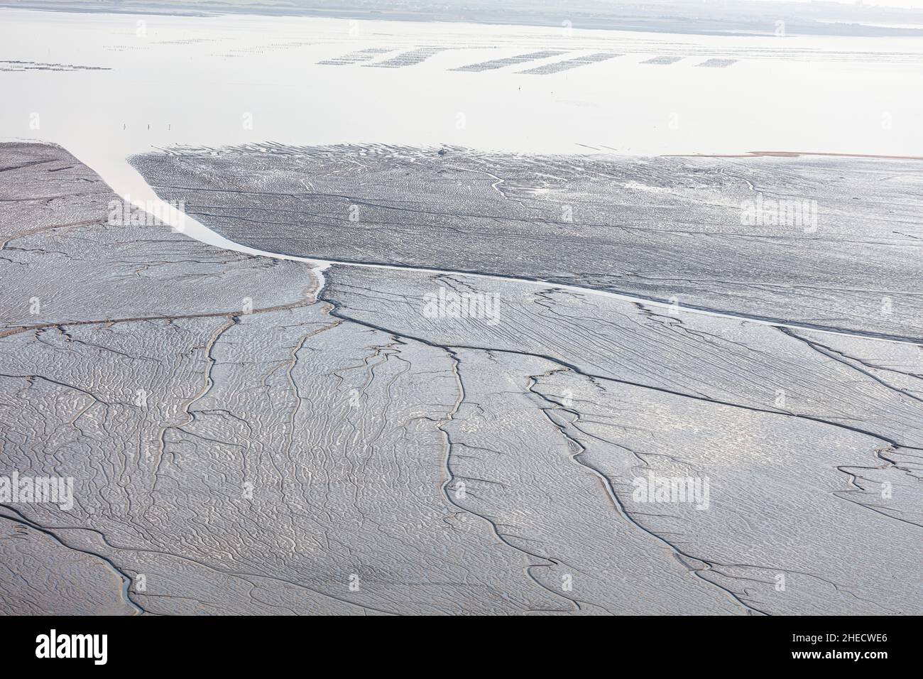 Francia, Vendee, l'Aiguillon sur Mer, grafica a l'Aiguillon fango a bassa marea (vista aerea) Foto Stock
