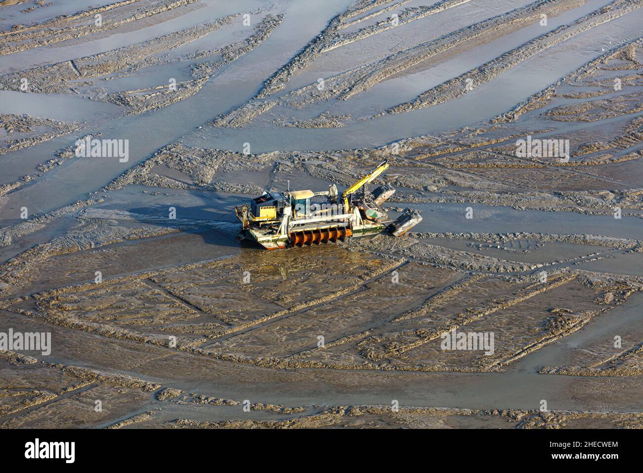 Francia, Vendee, l'Aiguillon sur Mer, Baie de l'Aiguillon, pala idraulica montata su due carri a vite senza fine che rimuovono i letti di ostriche selvatiche allo scopo di ripristinare l'habitat mudflat nella baia (vista aerea) Foto Stock