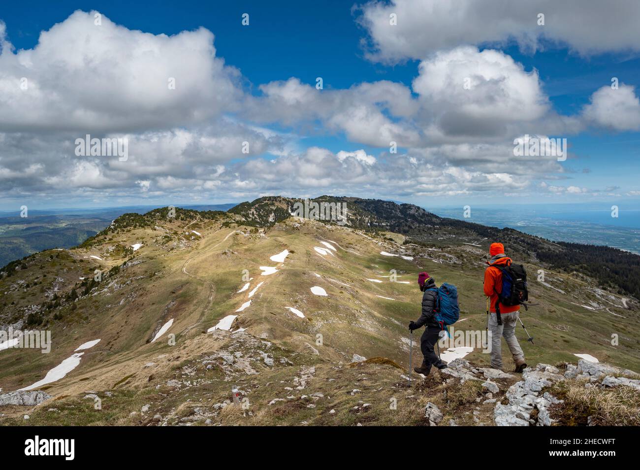 Francia, Ain, massiccio del Giura, parco naturale regionale, escursione fino alla cima del Reculet, Route des vallons perches entre le Reculet et le crit de la Neige, ponte più alto del massiccio del Giura Foto Stock