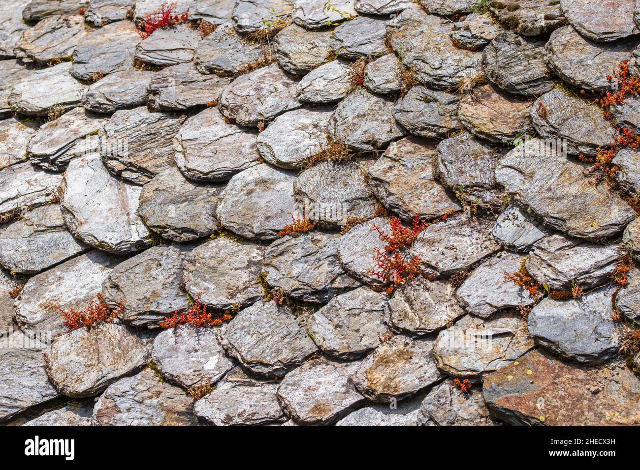 Francia, Lozere, Ispagnac, frazione Les Combettes, tipico tetto in ardesia Foto Stock