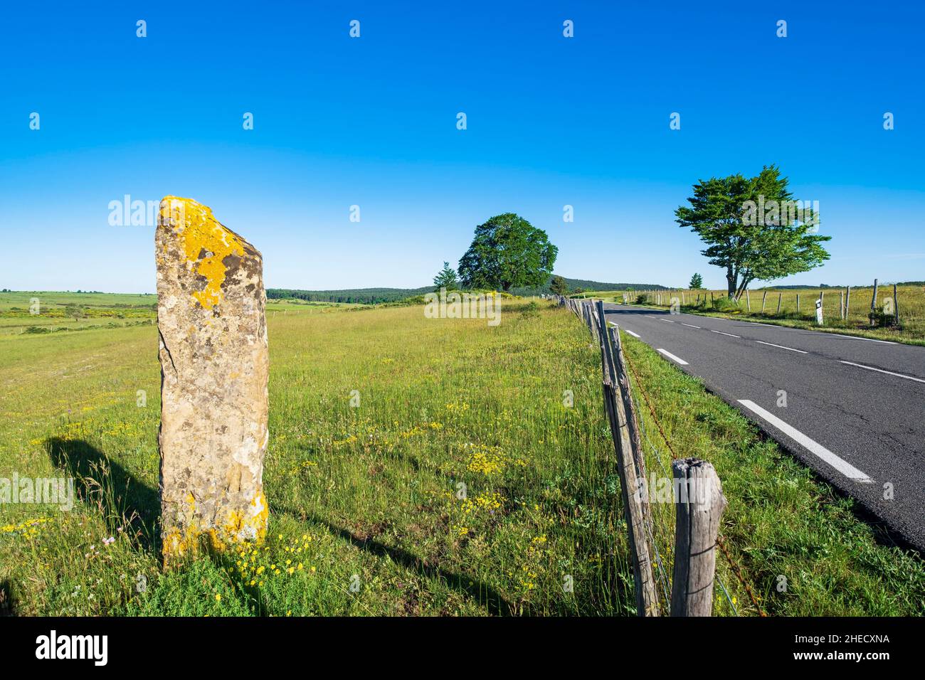 Francia, Lozere, Corniche des Cévennes, ex strada reale da Nimes a Saint-Flour, le Pompidou, in pietra sull'altopiano di Hospitalet Foto Stock