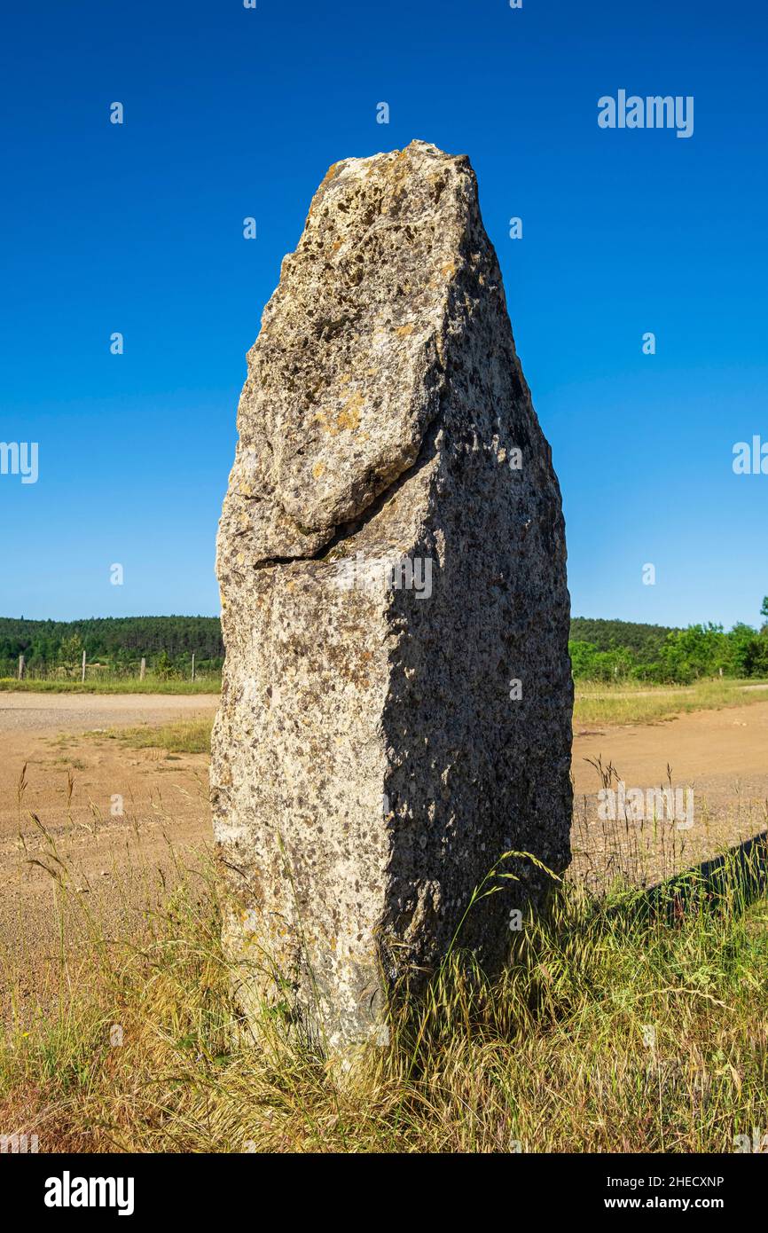 Francia, Lozere, Corniche des Cévennes, ex strada reale da Nimes a Saint-Flour, Vebron, pietra in piedi al passo di Faisses (alt:1018m) Foto Stock