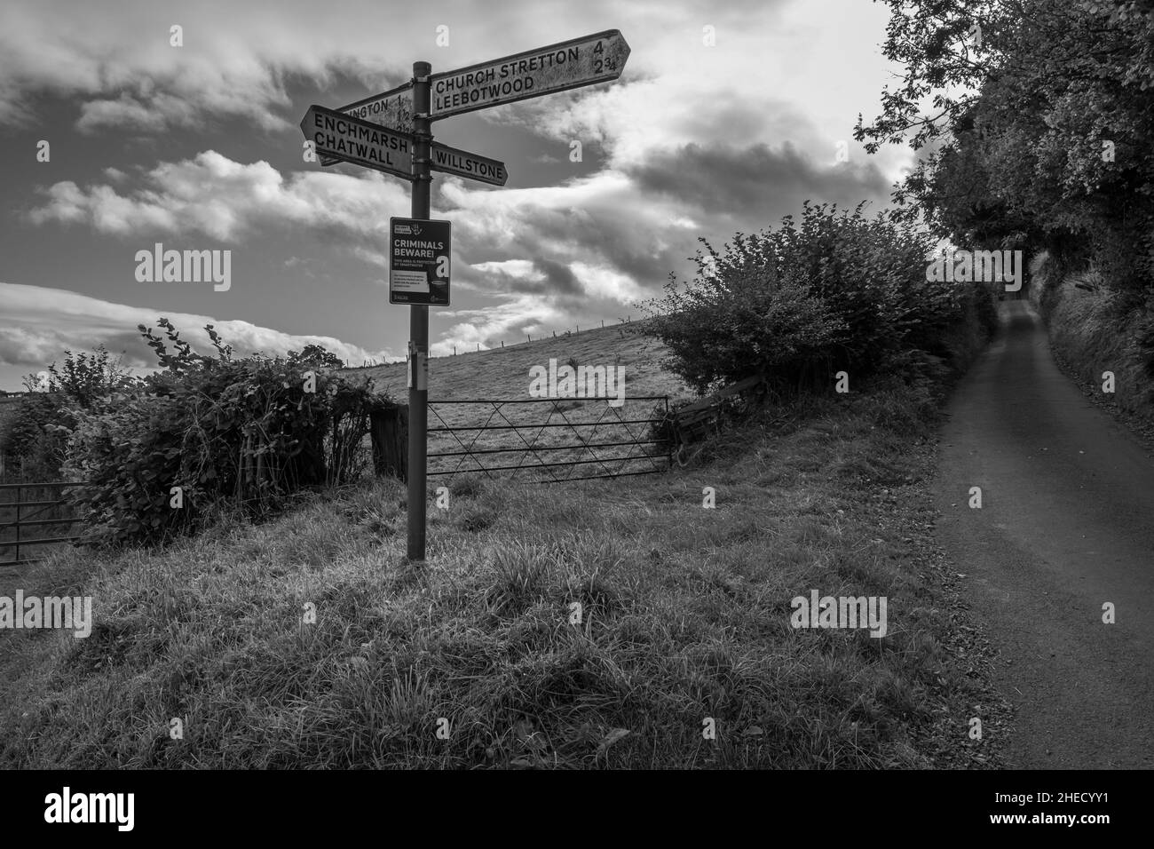 Country Lane vicino Enchmarsh nella Shropshire Hills Area of Outstanding Natural Beauty, Inghilterra Foto Stock