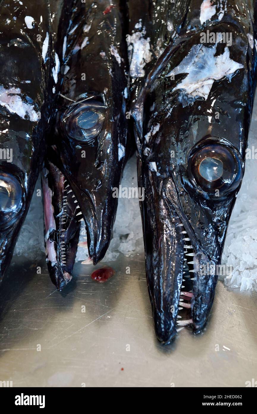 Portogallo, Isola di Madeira, Funchal, mercato coperto Mercado dos Lavradores, pesce sciabola nero (Aphanopus carbo) Foto Stock